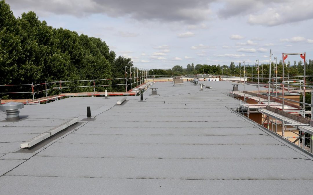 Revolutionizing Commercial Roofing: Orlando’s Leading Innovations