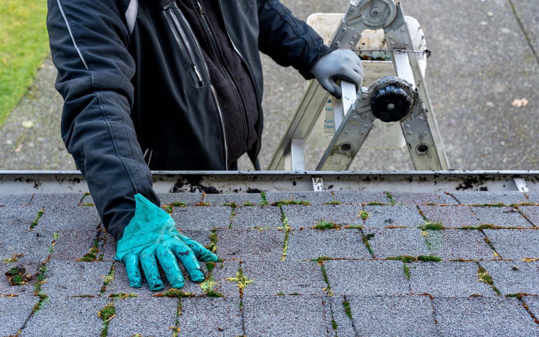 5 Reasons to Regularly Inspect Your Roof