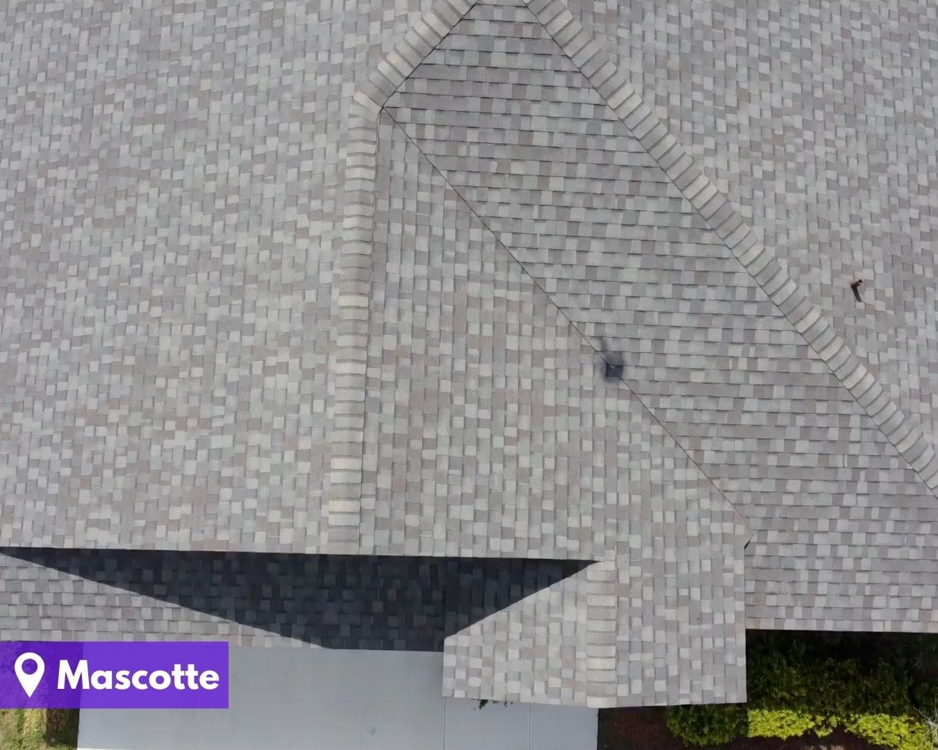 Mascotte - Gravity Roofing