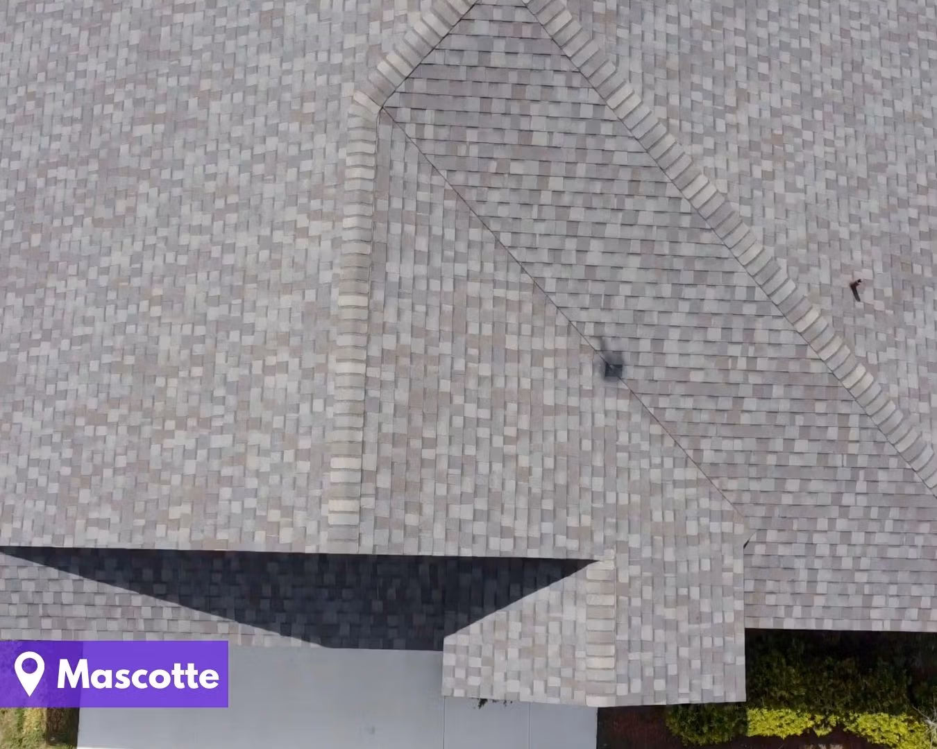 Mascotte - Gravity Roofing