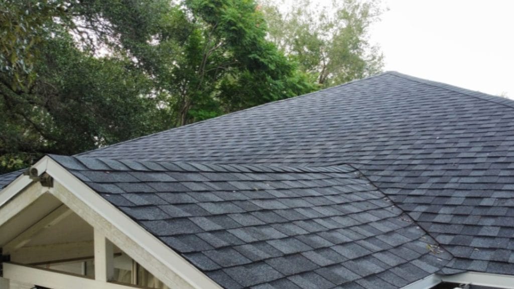 Roof inspection Groveland — roofing expert inspecting shingles on a Florida home after storm season.