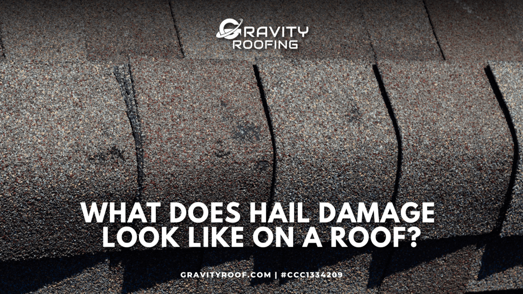 A close-up showing what does hail damage look like on a roof with asphalt shingles.