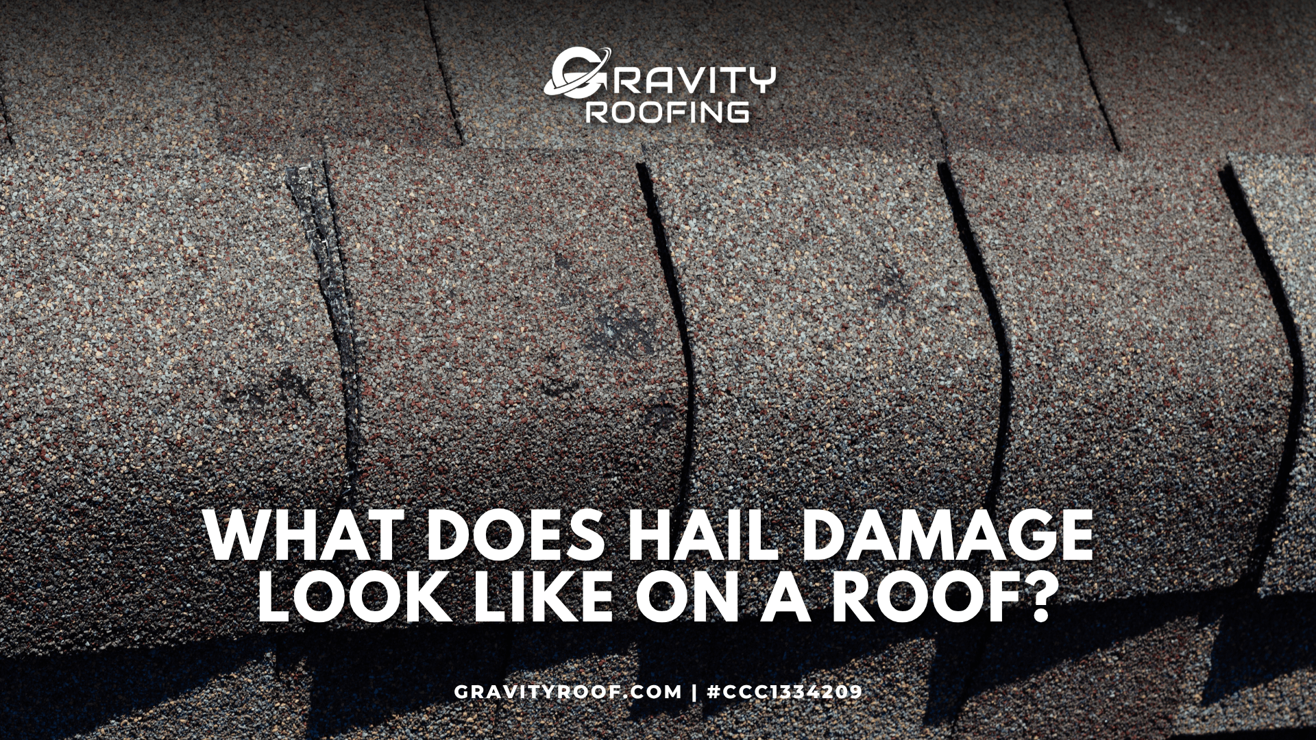 A close-up showing what does hail damage look like on a roof with asphalt shingles.