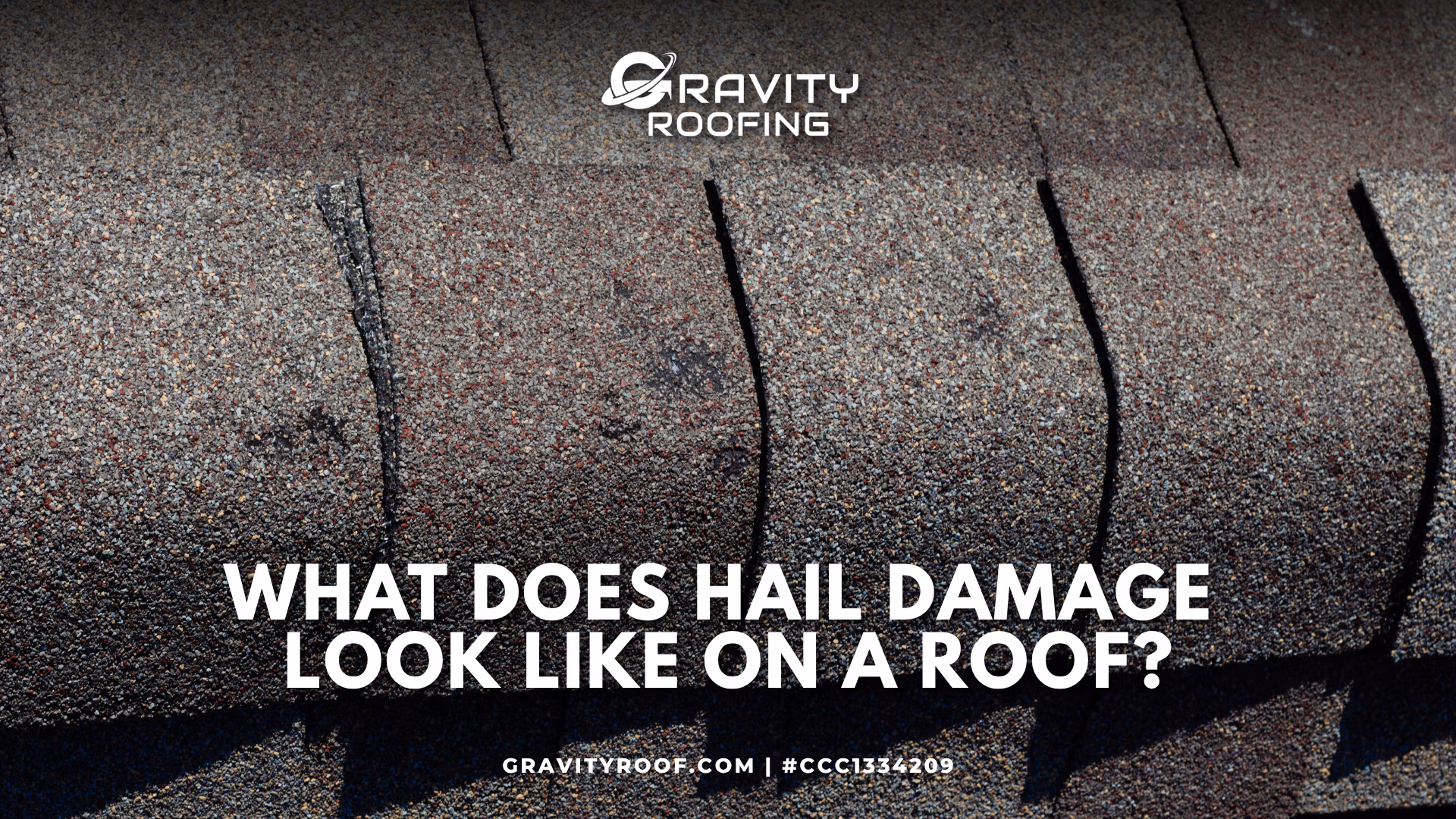 A close-up showing what does hail damage look like on a roof with asphalt shingles.