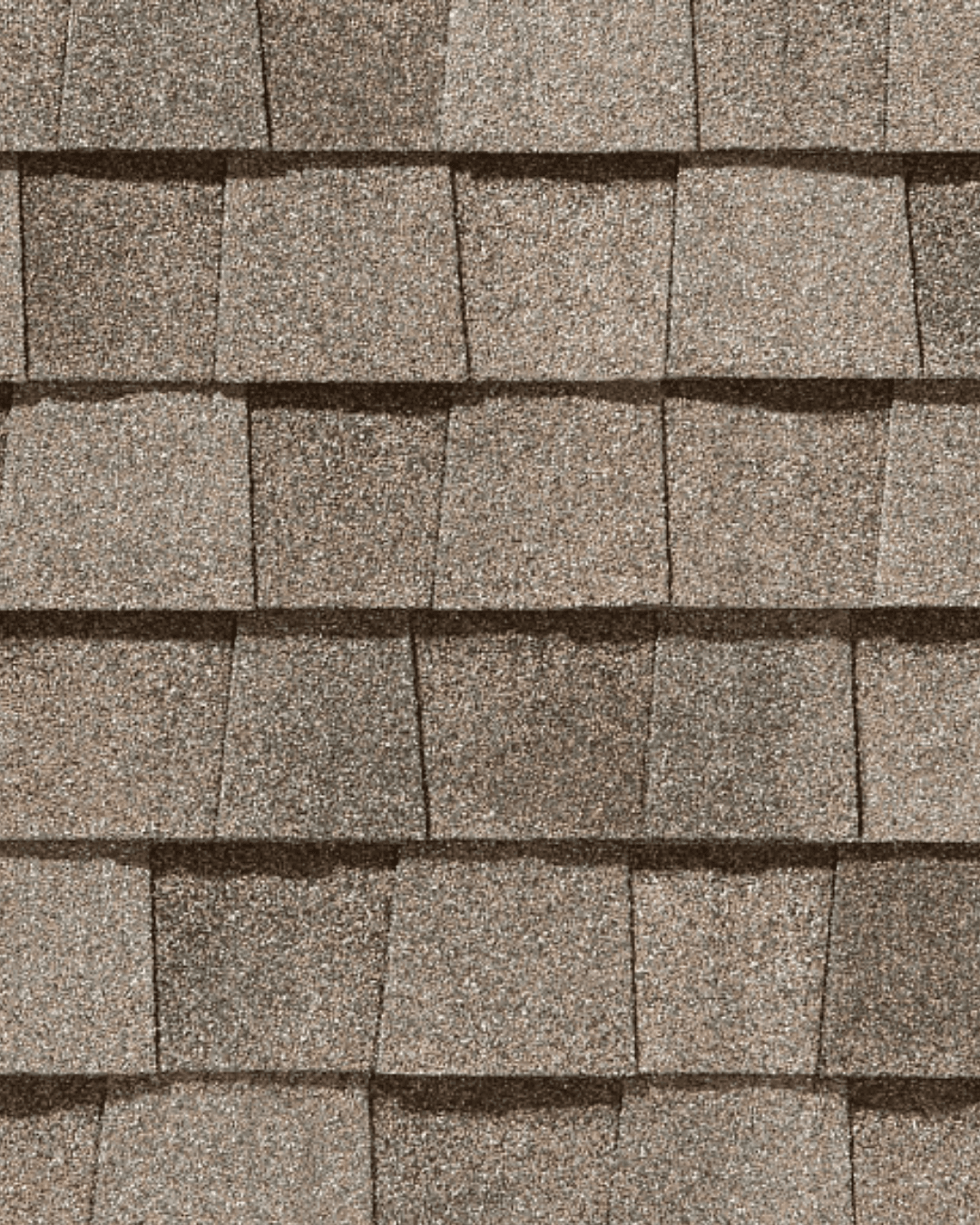 Landmark Sunrise Cedar shingles